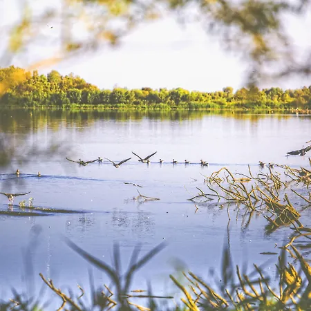 Park By Radisson & Hotel